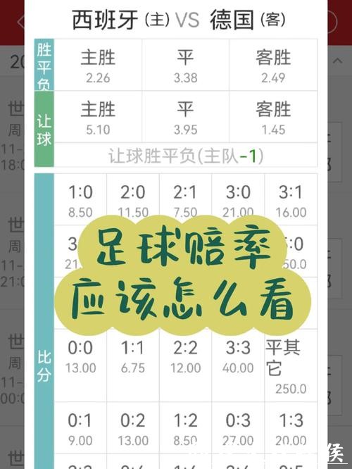 世界杯下注入口：实时赔率与下注服务指南